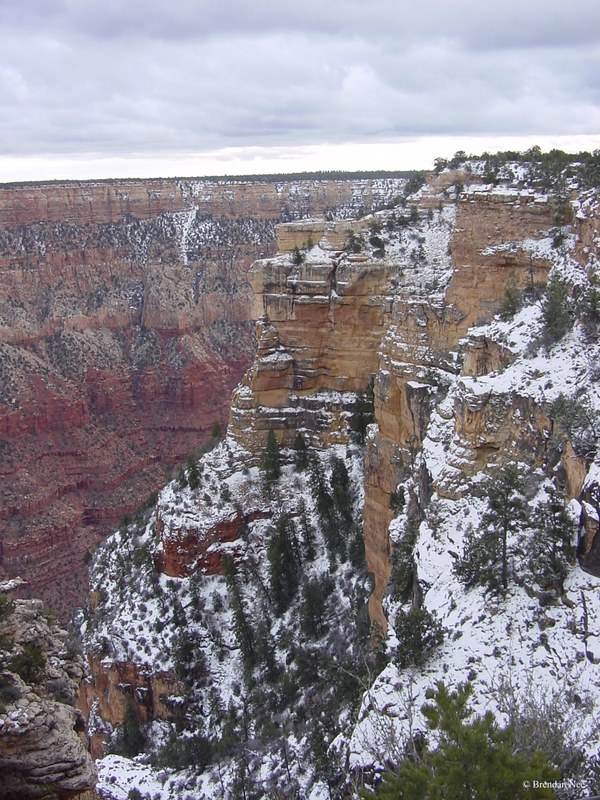 Grand Canyon - Grand Canyon 1-05 233